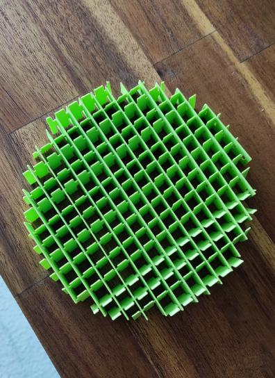 Fidget Morf Worm - 3D Print
