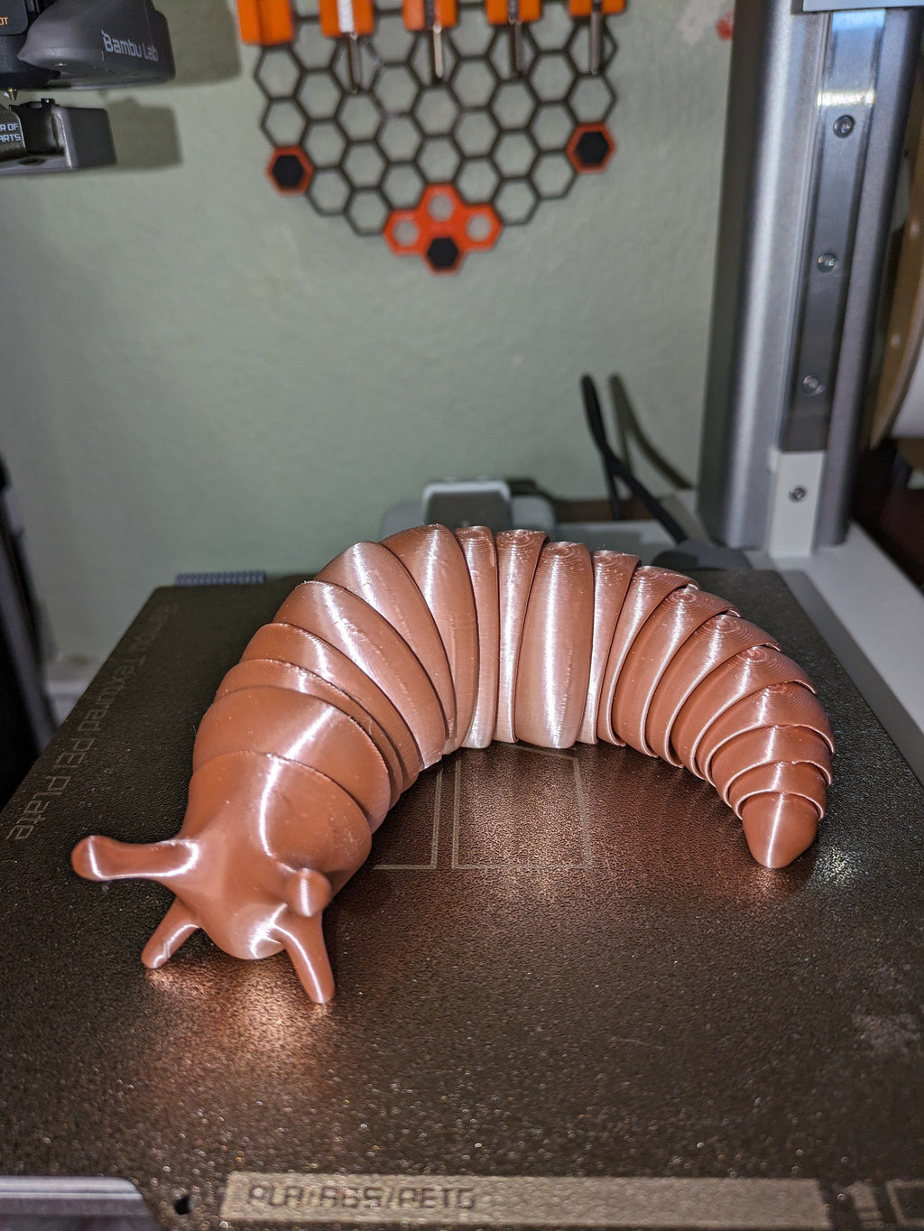 3D Printed Articulated Slug Fidget Toy: Rainbow Colors, Desk Decor