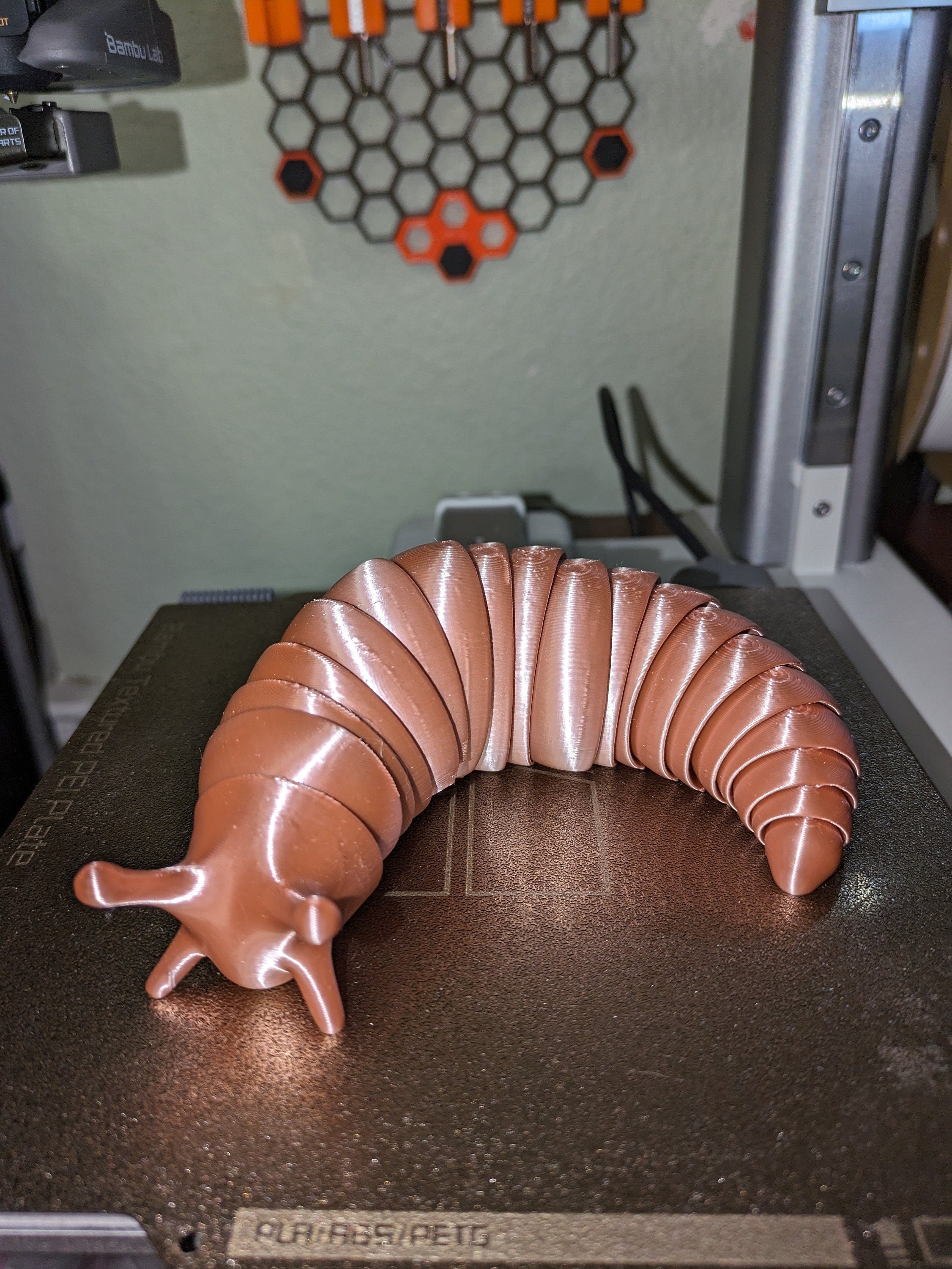 3D Printed Articulated Slug Fidget Toy: Rainbow Colors, Desk Decor