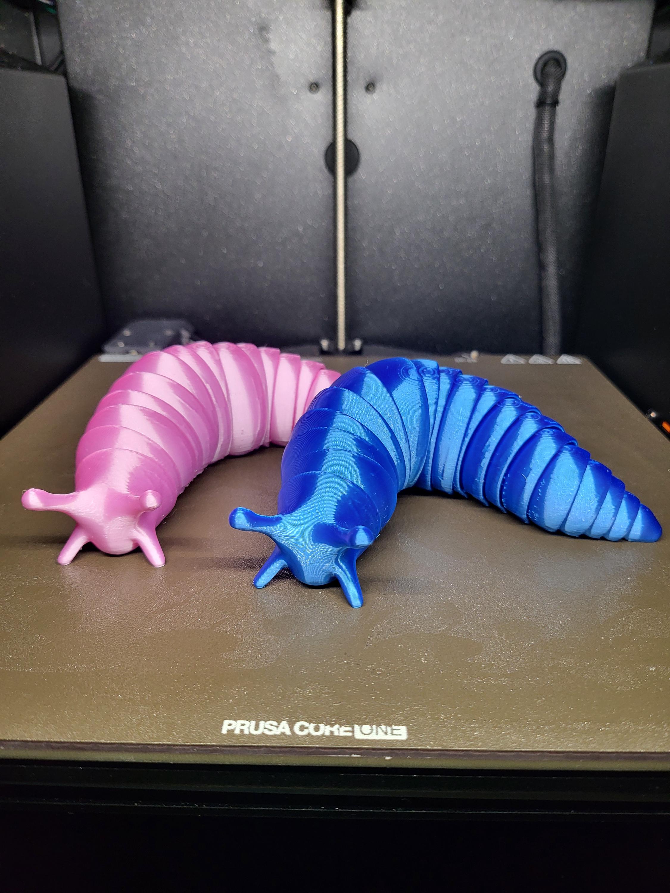 3D Printed Articulated Slug Fidget Toy: Rainbow Colors, Desk Decor
