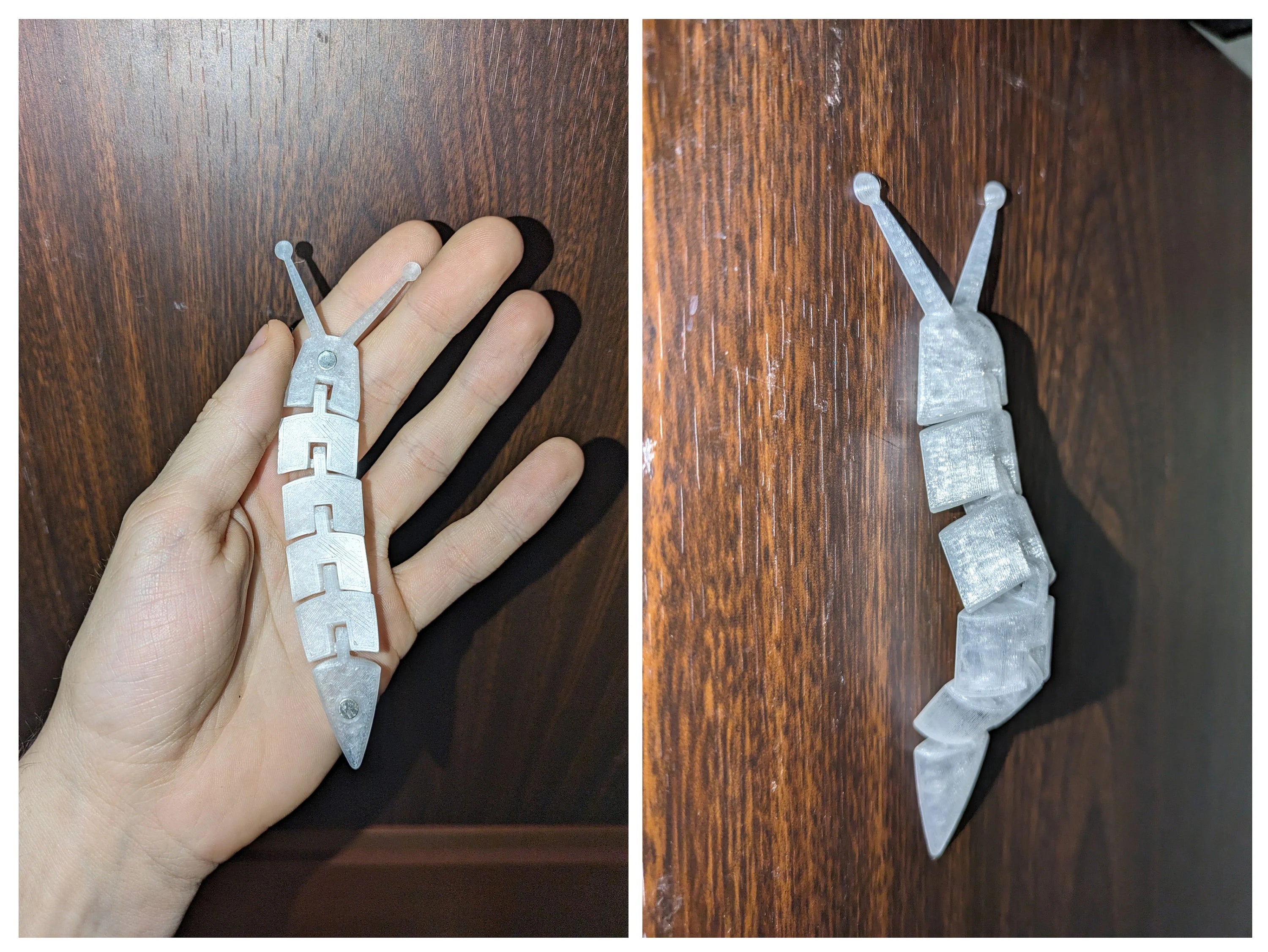 3D Printed Articulated Slug Fidget Toy: Rainbow Colors, Desk Decor